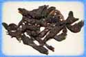 Cinnamomum Cassia (Twak Ghana)